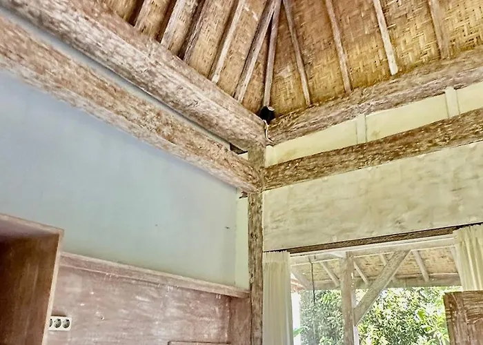 Auberge de jeunesse Balian Yoga Shala *