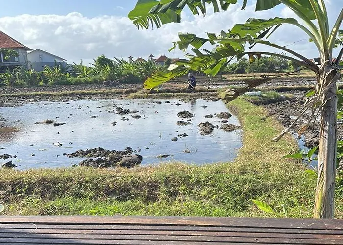 Balian Yoga Shala * Denpasar